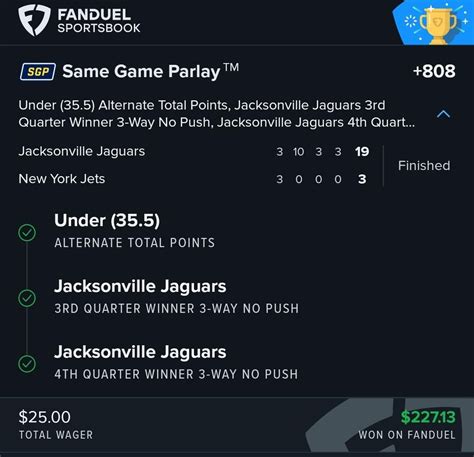 fanduel 1099|fanduel big winners.